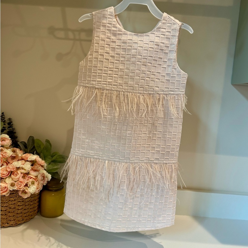 BCBG Girls Light Pink Dress with Feather Details